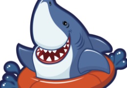 食品原料小百科：硫酸軟骨素可以用在什么地方？